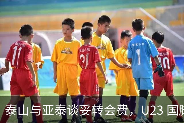 泰山与亚泰谈妥转会费，U23 国脚中卫遭蓉城截胡，补强计划全盘落空