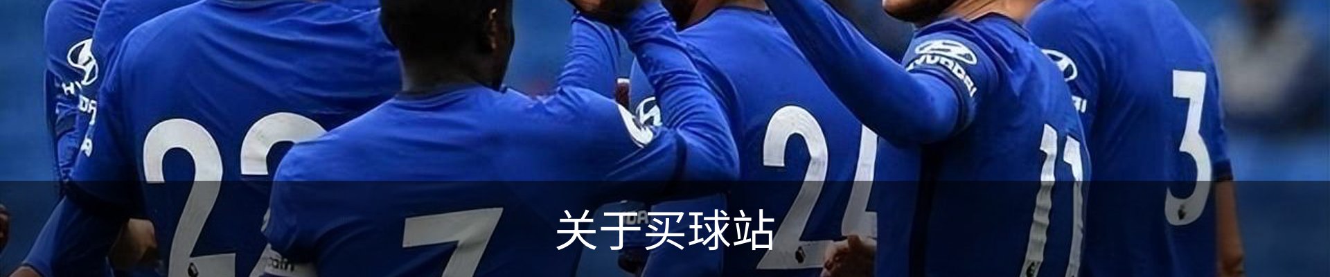 关于买球站